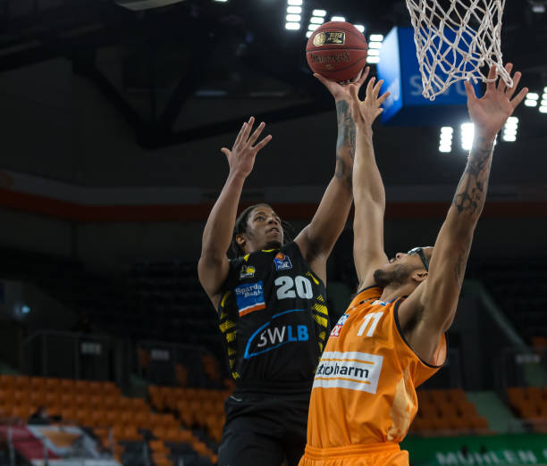 固了在国内 固了在国内